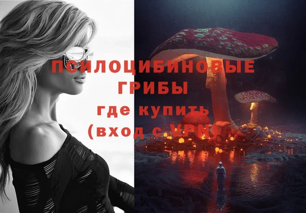 твердый Горно-Алтайск