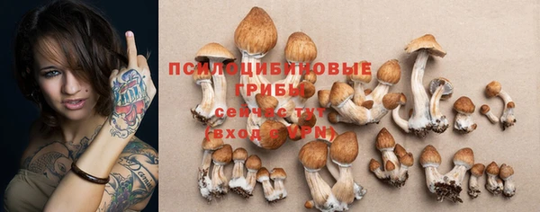 твердый Горно-Алтайск